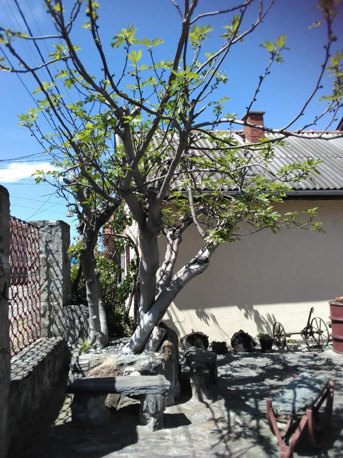 Apartmani Pinkum Veliko Gradište 외부 사진