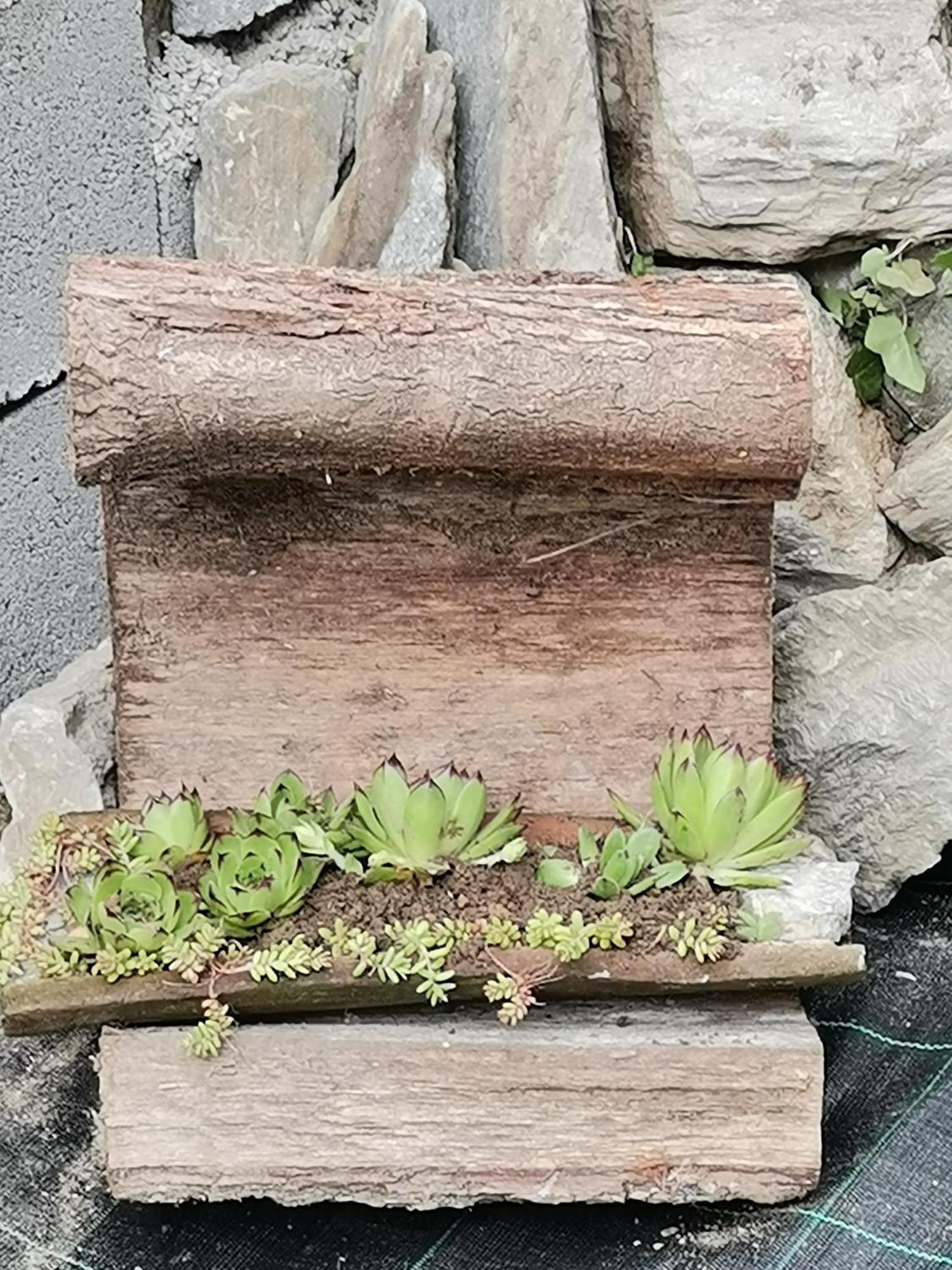 Apartmani Pinkum Veliko Gradište 외부 사진